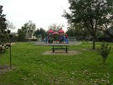 Glenmore Forest park 8000 Wingo Houston, Texas 77055 (21).JPG